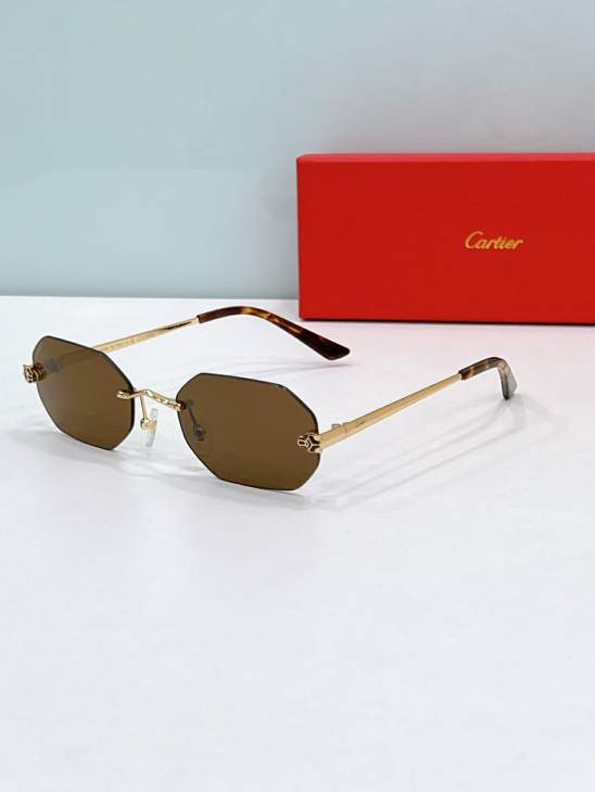 Picture of Cartier Sunglasses _SKUfw79566433fw